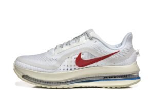 Nike Pegasus Premium