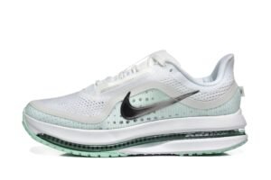 Nike Pegasus Premium