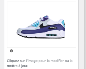 Nike Air Max 90 Bleue